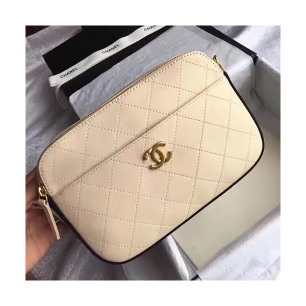 Chanel 2018/2019 Chain Camera Bag, 24CM - 샤넬 2018/… - 1
