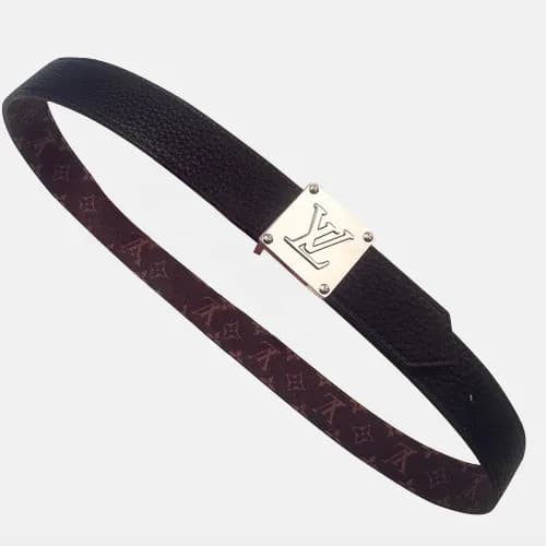 Louis vuitton 2019 Ladies Reversible Canvas & Leat… - 1