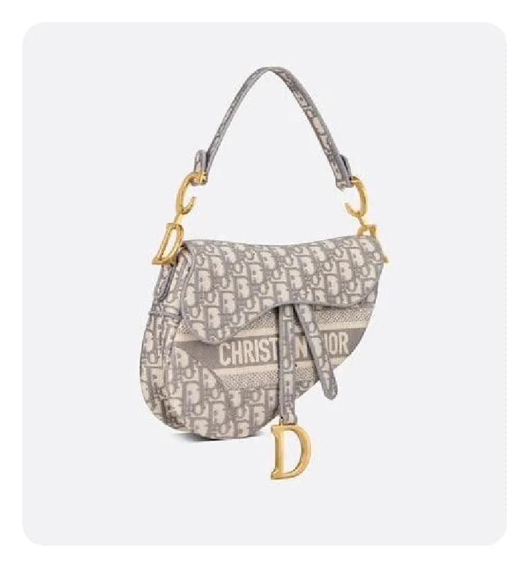 디올 그레이 오블리크 자수 새들 백- Dior Oblique Embroidery Sadd… - 1