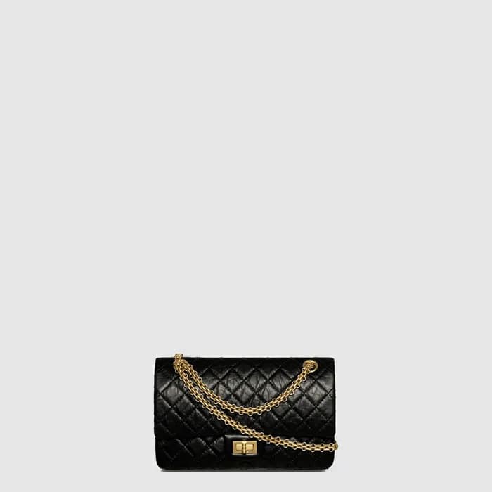 샤넬 여성 2.55 라지 플랩 백 - Chanel Womens 2.55 Large Flap… - 1
