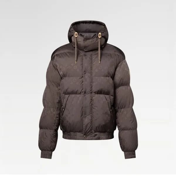 루이비통 남성 다운 패딩 - Louis vuitton Mens Down Padding - … - 1
