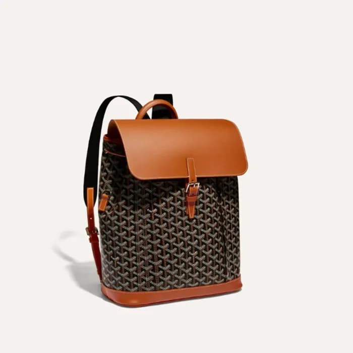 고야드 남/녀 블랙 탄 알팡 백팩 MM - Goyard Unisex Alpin Back P… - 1
