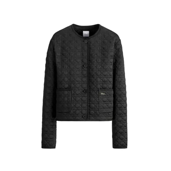 디올 여성 다운 재킷 - Dior Womens Down Jacket - dic17719x - 1
