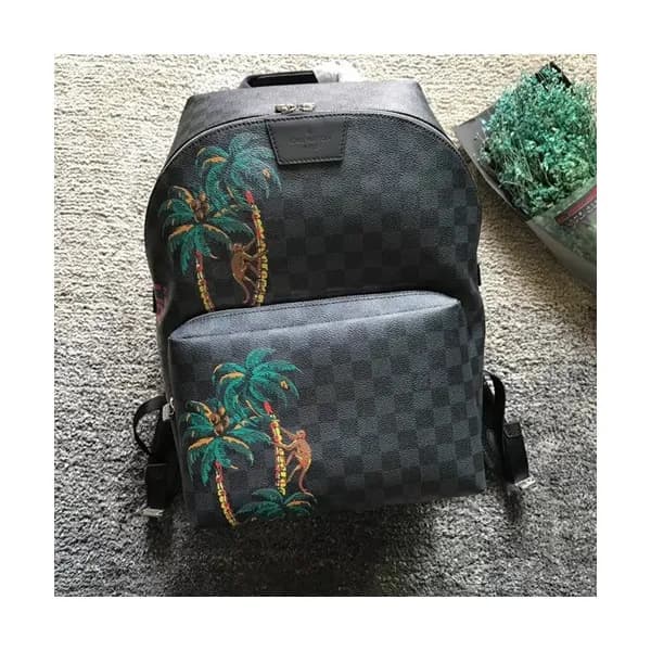 Louis Vuitton Apollo Back Pack,37cm - 루이비통 아폴로 남여… - 1