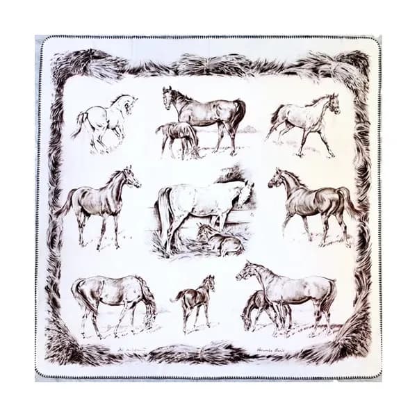 Hermes 2020 Autumn / Winter Velvet Blanket - 에르메스 … - 1