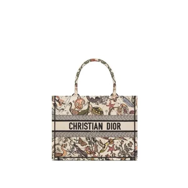 디올 여성 크리스찬 북토트 - Dior Womens Book Tote - dib4870x - 1
