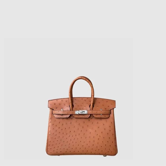 에르메스 여성 25 버킨백 - Hermes Womens Birkin Bag - heb114… - 1