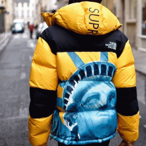 [매장판]The North Face 2019 Mm/Wm Goose Down Padding … - 1