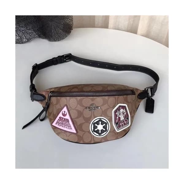 Coach 2020 Ladies Hip Sack,35cm - 코치 2020 여성용 힙색 C… - 1