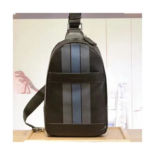 Coach Leather Hip Sack ,20cm - 코치 남여공용 레더 힙색 , COA… - 1