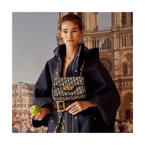 Dior 2019 Canvas Shoulder Bag ,22CM - 디올 2019 캔버스 … - 1