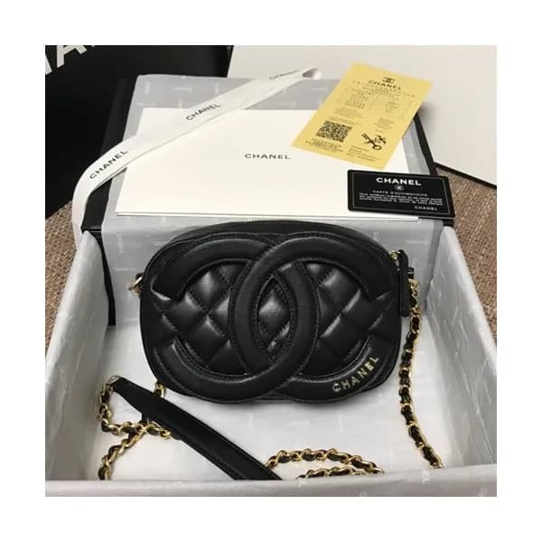 Chanel 2020 Camera Chain Shoulder Cross Bag,20CM -… - 1