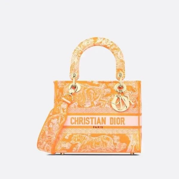 디올 여성 오렌지 레이디 백 - Dior Womens Orange Lady Bag - di… - 1