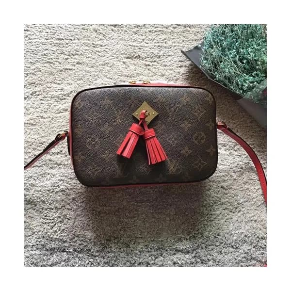Louis Vuitton Sainttonge Monogram Cross Bag,22cm -… - 1