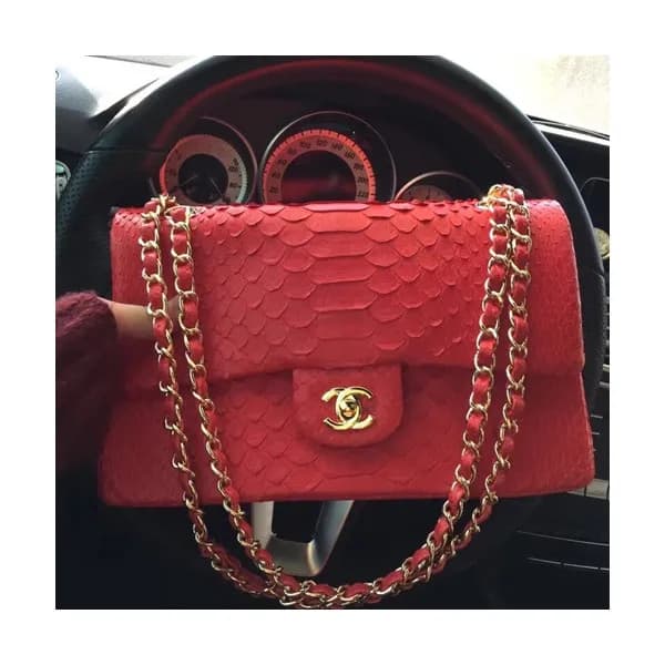 Chanel Women Leather Shoulder Bag,25CM - 샤넬 여성용 레더… - 1