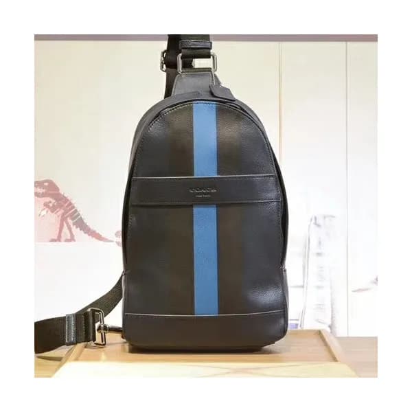 Coach Leather Hip Sack ,20cm - 코치 남여공용 레더 힙색 , COA… - 1
