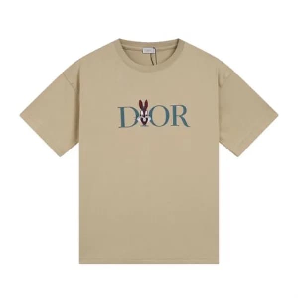 디올 남성 카멜 크루넥 반팔티 - Dior Mens Camel Short sleeved T… - 1
