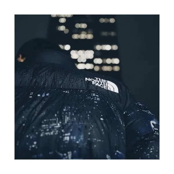 [매장판]The North Face 2019 Mens Duck Down Padding Pa… - 1
