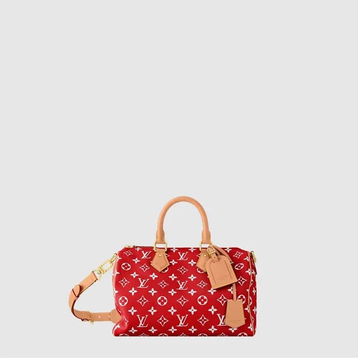 루이비통 남성 스피디 P9 반둘리에 30 M14067 - Louis vuitton Mens… - 1
