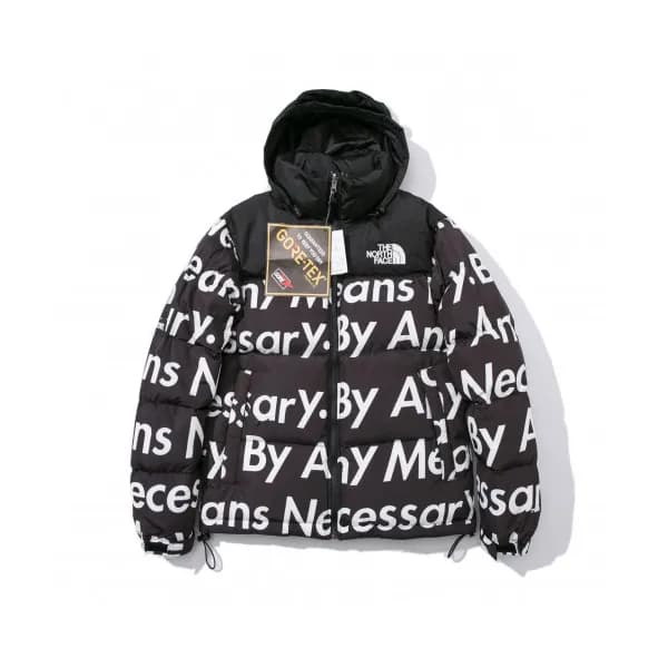 [매장판]The North Face 2019 Mm/Wm Down Padding Parka-… - 1