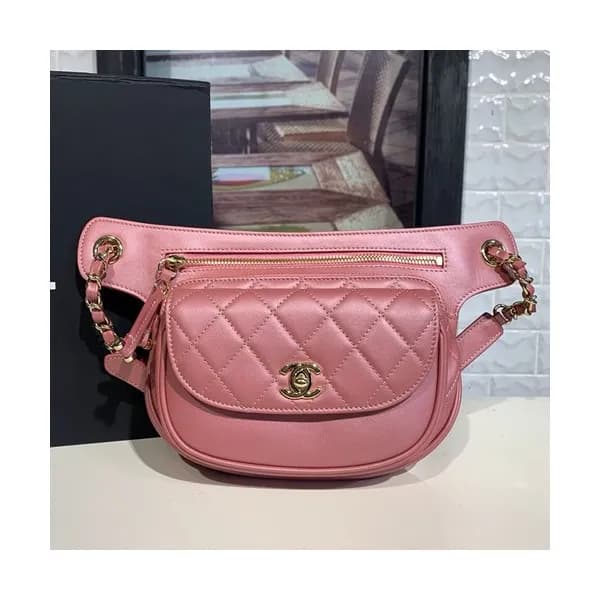 Chanel 2019 Women Leather Belt Bag ,20CM - 샤넬 2019… - 1