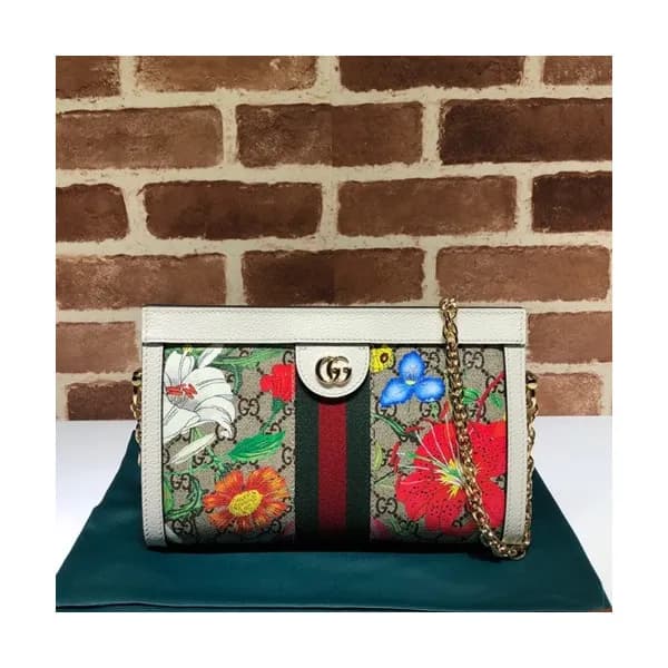 Gucci 2019 Ophidia Women Chain Shoulder Bag ,26CM … - 1