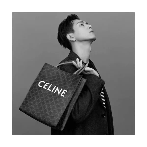 Celine 2019 Vertical Cabas Canvas Tote Shopper Bag… - 1