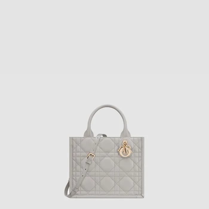 디올 여성 북토트 스몰 백 - Dior Womens Book Tote Small Bag -… - 1