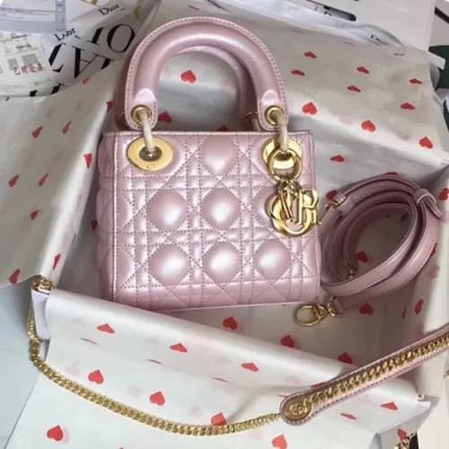 Dior 2019 Lady Dior Tote Shoulder Bag,17CM - 디올 20… - 1