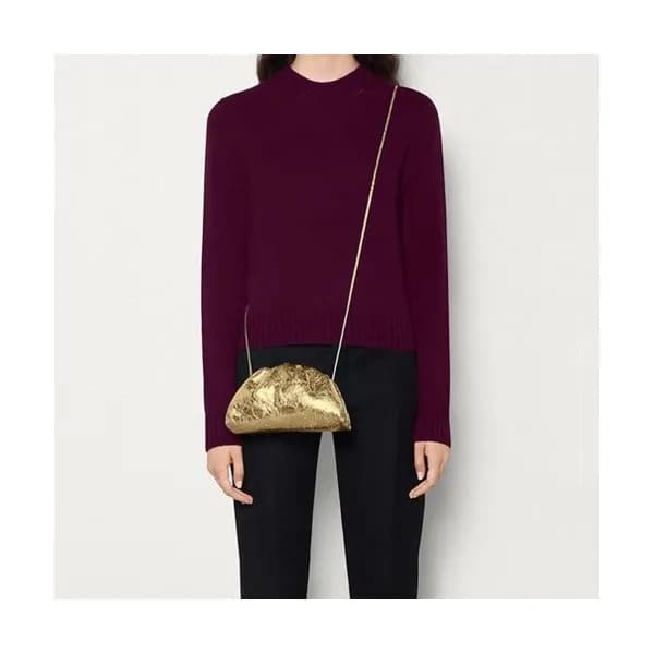 Bottega Veneta 2019 The Pouch Bag / Shoulder Bag,2… - 1