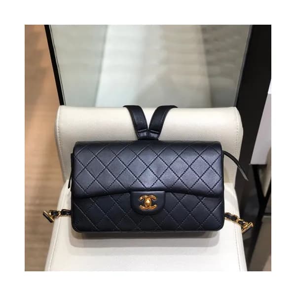 Chanel 2020 Leather Back Pack,25CM - 샤넬 2020 여성용 레… - 1