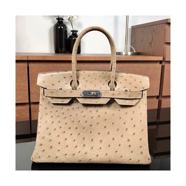 Hermes Birkin Ostrich Leather Tote Shoulder Bag ,3… - 1