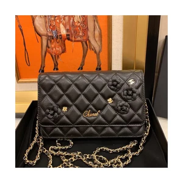 Chanel 2019 WOC Chain Cross Bag,19CM - 샤넬 2019 WOC… - 1