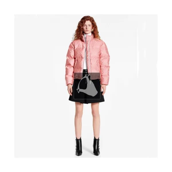 Louis vuitton 2019 Womens Logo Duck Down Padding -… - 1