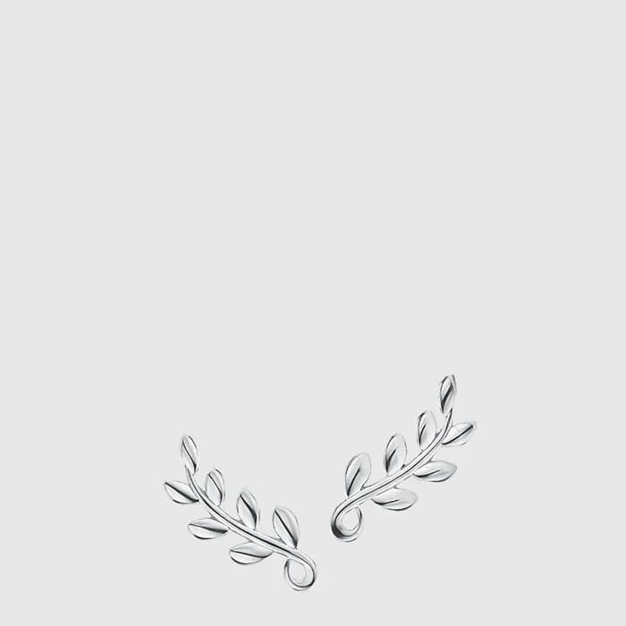 티파니 여성 올리브 리프 클라이머 이어링 - Tiffany Womens Olive Leaf Climber Earrings - acc9233x - 1