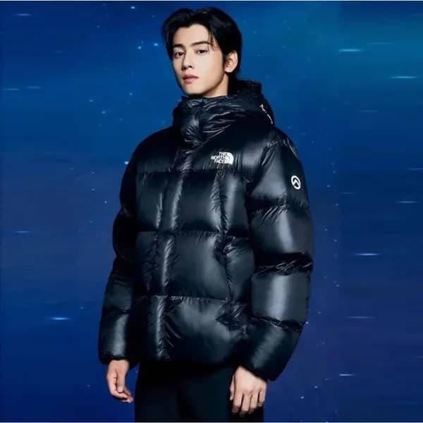 노스페이스 남성 다운 패딩 - The North Face Mens Down Padding …