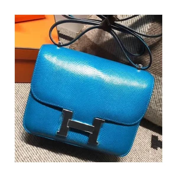 Hermes Constance Lizard Leather Shoulder Bag,19cm … - 1