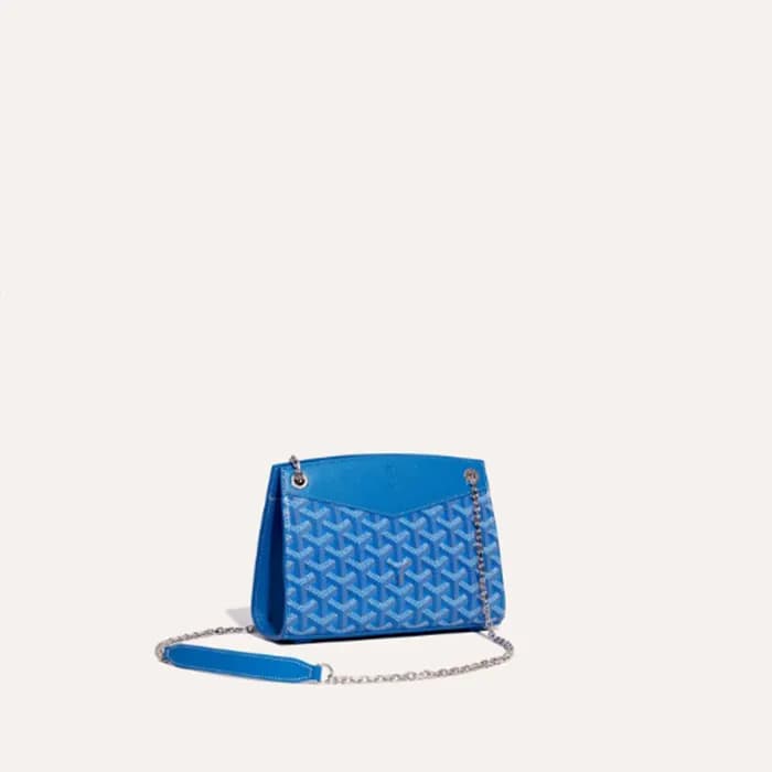 고야드 여성 블루 스트럭쳐 루엣뜨 백 PM - Goyard Womens Structure … - 1