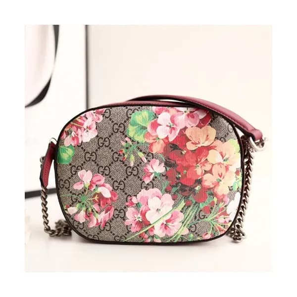 Gucci Print Supreme PVC Mini Women Chain Cross Bag… - 1