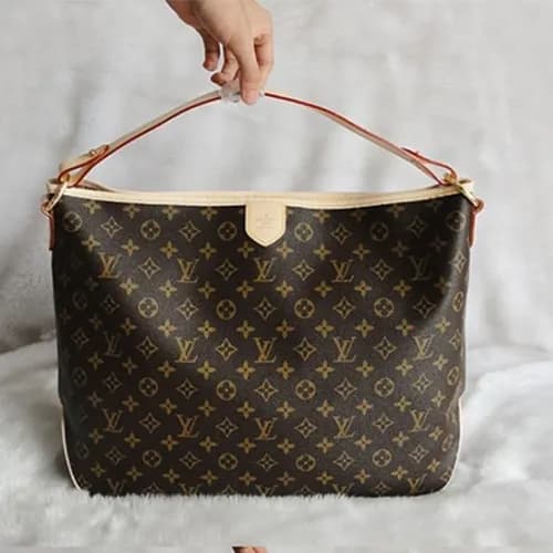 Louisvuitton 딜라이트풀 M40353 [ MM ] - 1