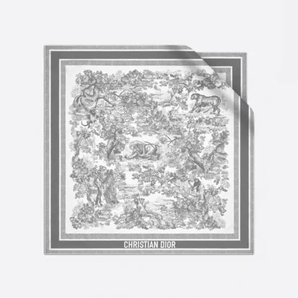 디올 여성 그레이 스카프 - Dior Womens Gray Scarf - acc1797x - 1