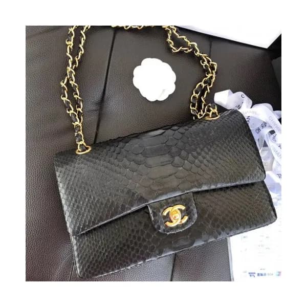 Chanel Women Leather Shoulder Bag,25CM - 샤넬 여성용 레더… - 1