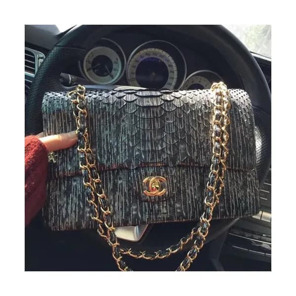 Chanel Women Leather Shoulder Bag,25CM - 샤넬 여성용 레더… - 1