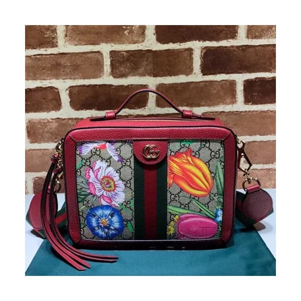 Gucci 2019 Ophidia Women Tote Shoulder Bag,25CM - … - 1