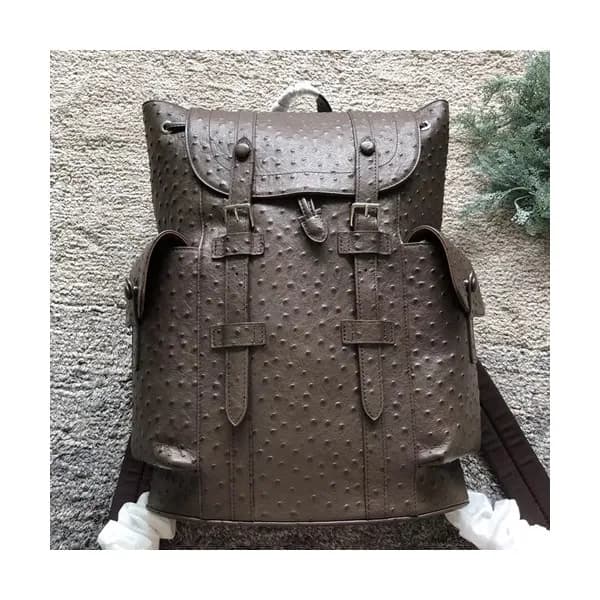 Louis Vuitton 2018 Christopher Back Pack,48cm - 루이… - 1