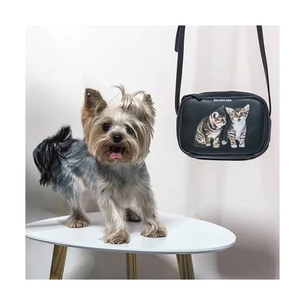 Balenciaga 2019 Leather Kitten Camera Shoulder Bag… - 1