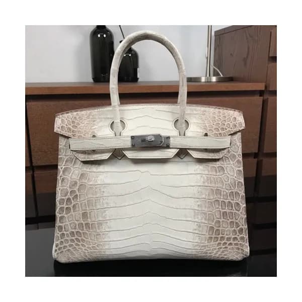 Hermes Birkin Crocodile Leather Tote Shoulder Bag… - 1