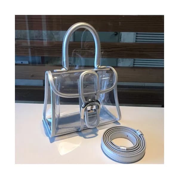 Delvaux 2019 Brillant X-ray PVC Tote Shoulder Bag,… - 1