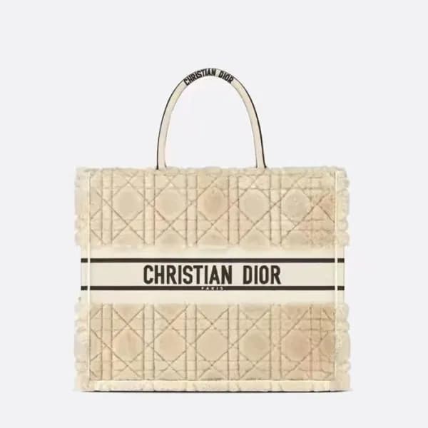 디올 여성 베이지 북토트 - Dior Womens Beige Book Tote - dib6… - 1