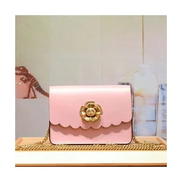 Coach Leather Bowery Chain Shoulder Bag,18cm - 코치 … - 1